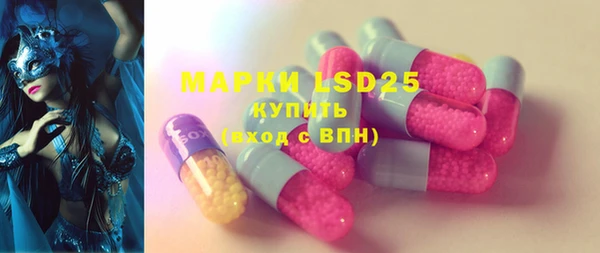 2c-b Горнозаводск