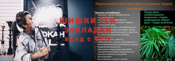 стафф Горняк